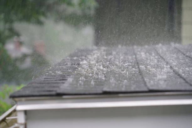 Best Commercial Roofing Services  in Missoula, MT